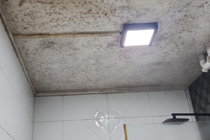 mould removal in bathroom